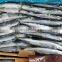Good price frozen saury fish for processing