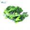 Hot-selling IQF Frozen Green Rape Flower