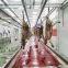 Good Supplier Sheep Slaughter Machinery Halal Goat Meat Slaughterhouse Equipment For Butchery Equipment