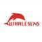 Whalesens Technology Co., Ltd.