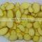 Commercial Multifunctional Ginger Cutting Machine