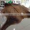 Brazil Natural Cowhide Carpet