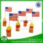 varieties nations cocktail toothpicks flags for food LFGB test