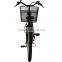 City Star 250W Big Wheel Electric Bicycle