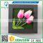 Greenflower 2016 Wholesale 3D Wall Moth orchid Picture Group artificial plants arts and crafts making factory Home decorations