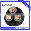 HIGH VOLTAGE CABLE CU/XLPE/CWS/PVC in tunnel 6/10kV(11kV)
