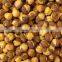 Indian Desi chickpeas high quality Roasted gram, Fried gram, Bengal gram,chenna gram