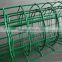 Green powder coated Euro welded mesh / holland fence