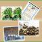 black pepper 2016 crop