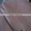 China Okoume Veneer CC brand