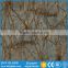 Hot selling Glass Wall Decoration Material Imported Italian Marble