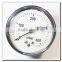 High quality black steel back connection low pressure capsule type pressure gauge