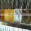 Restaurant Decoration Eco Resin Plastic Wall Tile