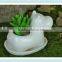 ceramic hippo shape bonsai pot hippo flower pot for indoor decor