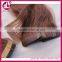 Wholesale Price 7A Brazilian Double Drawn Hair Tape Hair Extension
