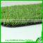 Turf grass/garden grass