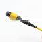 12 cores SM MTP Fiber Optic Patch Cord