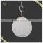 New Designs Indoor Modern Glass Pendant Light, Fancy Hanging Light