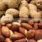 Blanched Peanuts Kernel Price PEANUT BOLD 80-90 COUNT