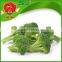 green broccoli from China frozen broccoli for sale