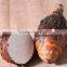 Mytext New crop fresh taro extract wholesale
