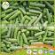 Vegetables New Season Frozen Whole and Cut Green Beans