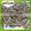NEW CROP Sunflower Seeds With Best Price With Good Quality