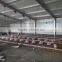 steel structure chicken poultry house/Steel fabrication steel structure chicken poultry shed design/engineering steel structure