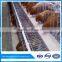 Galvanized Iron Metal Cage for Breeding Chickens in Africa