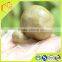 Green Raw Propolis Sodium Hydroxide Solution For Wine With Raw Material