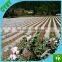 High quality perforated agricultural plastic mulch hole punch/black mulch film