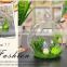 glass craft handmade home decoration hanging glass vase for flowers
