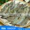 Frozen vannamei shrimp & black tiger shrimp low price