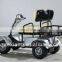 Hot Selling 2 Seater Small Golf Buggy