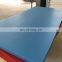 waterproof durable 4 cm thick judo mat