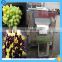 New type factory price automatic vegetable and fruit washing machine grape cleaning machine for sale