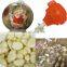 Kitchen household electric garlic peeler and grinder machine