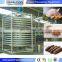 IQF frozen mango spiral conveyor freezing machine spiral blast freezer