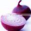 Factory Price frozen Onion Slice Conducive to Preservation