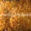 HOT SALE 100% PURE FROZEN MANGO IS SWEET AND DELICIOUS FROM VIET NAM