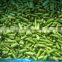 Sinocharm BRC A Approved 2-4CM IQF Green Asparagus Center Cut Frozen Green Asparagus