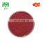 Natural Anti-oxidatio Product Tomato Extract Powder Lycopene  5%  6% 10% 20%