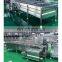 MS Industrial Vegetable Air Bubble Cleaner Fruit Vegetable Cabbage Washer Washing Machine Fruit And Vegetable Cleaning Machine