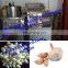 stainless steel dry way garlic peeling machine/garlic peeler machine