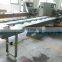 Snow peas / green beans flow packing machine
