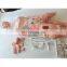 HC-S104 High Quality Full-featured Medical Nursing Training Manikins Patient Care Training Dummy