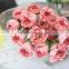 Newest Big Muma home decorative fresh carnation