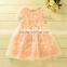 2016 Summer New Style Children Kids Clothing Lace Veil Dress Baby Vest Dress