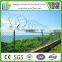 50x50mm opening galvanised chain wire as domestic fencing for AU market