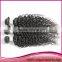 Brazilian Hair 8inch Hair Weaving Remy Extension Kinky Curly Brazilian Remy Human Hair Extension Weaving                        
                                                Quality Choice